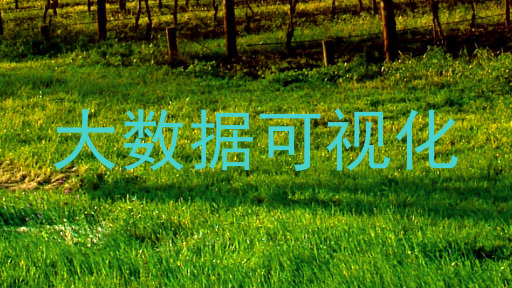 大数据可视化