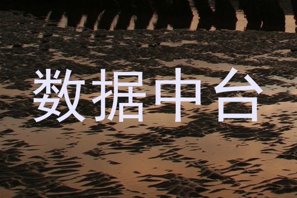 数据中台