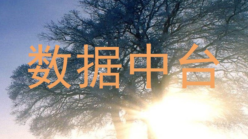 数据中台