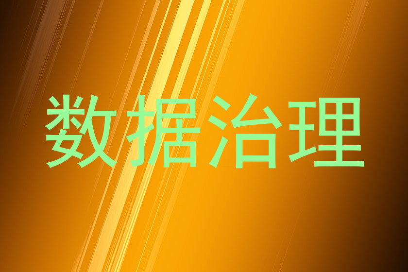 数据治理
