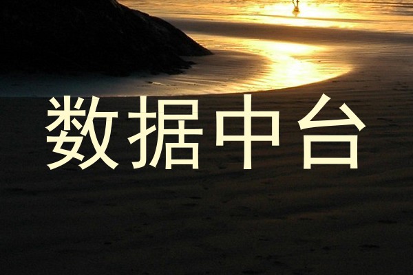 数据中台