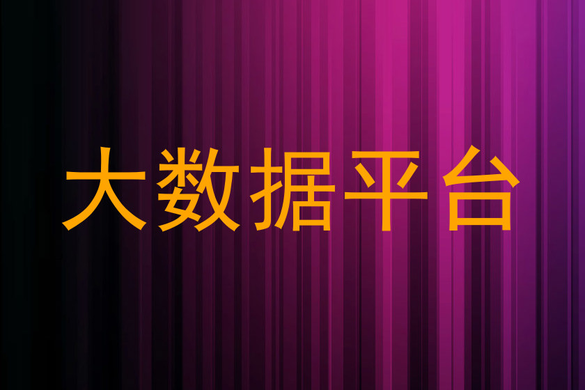 大数据平台