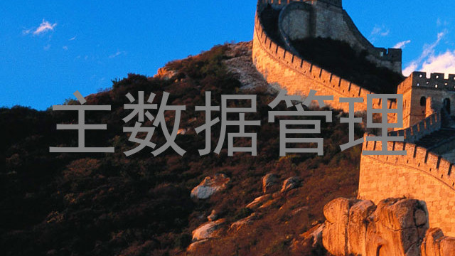 主数据管理