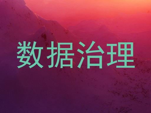 数据治理