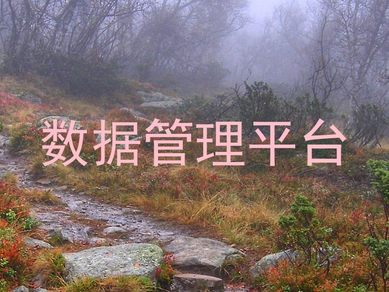 数据管理平台