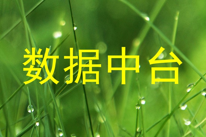 数据中台