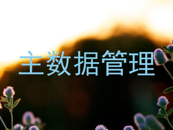 主数据管理