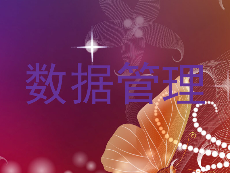 数据管理