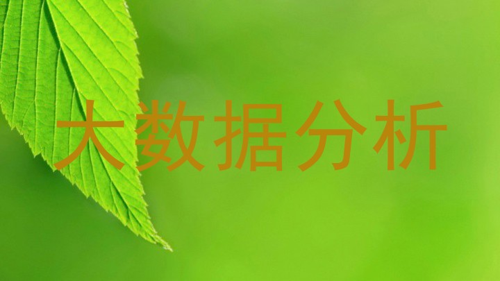 大数据分析