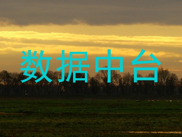 数据中台