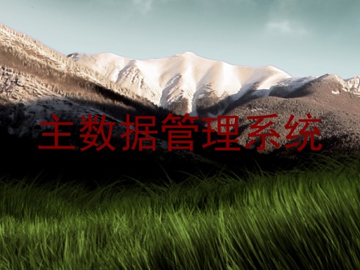 主数据管理系统