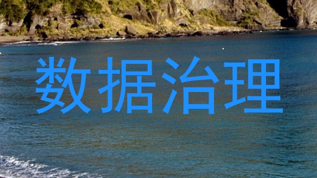 数据治理