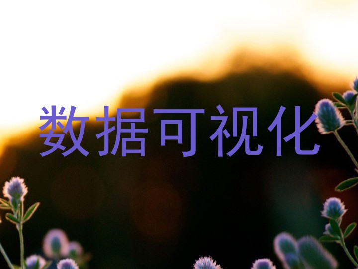 数据可视化