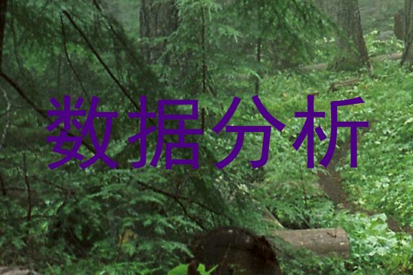 数据分析
