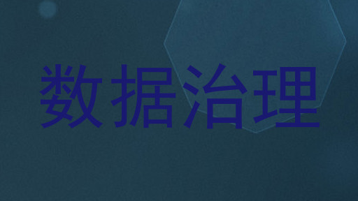 数据治理