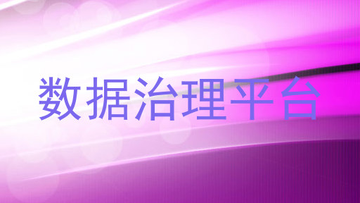 数据治理平台
