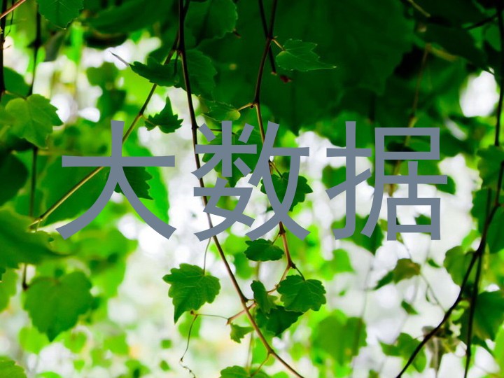 大数据
