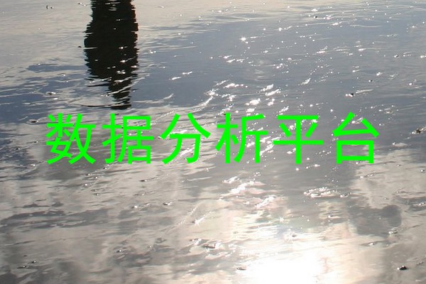 数据分析平台