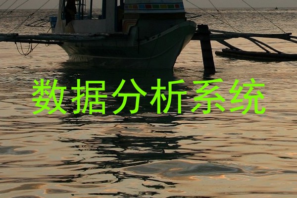 数据分析系统