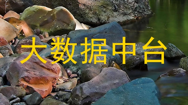 大数据中台