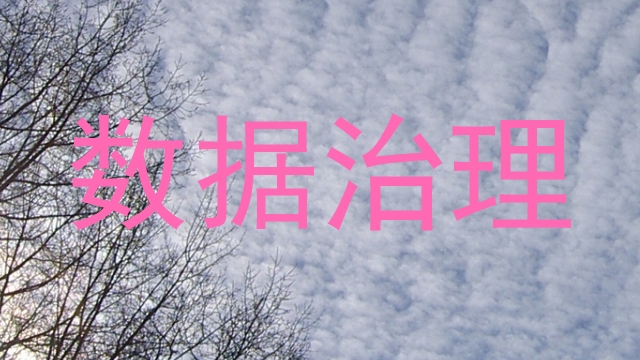 数据治理