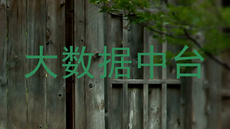 大数据中台