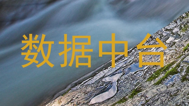 数据中台