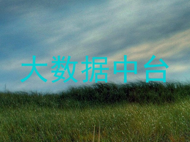 大数据中台