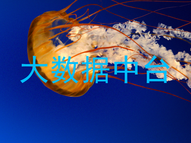 大数据中台