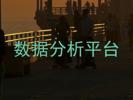 数据分析平台