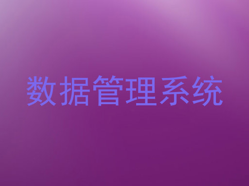 数据管理系统