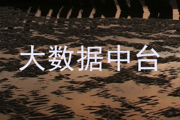 大数据中台