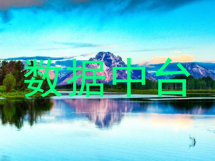 数据中台