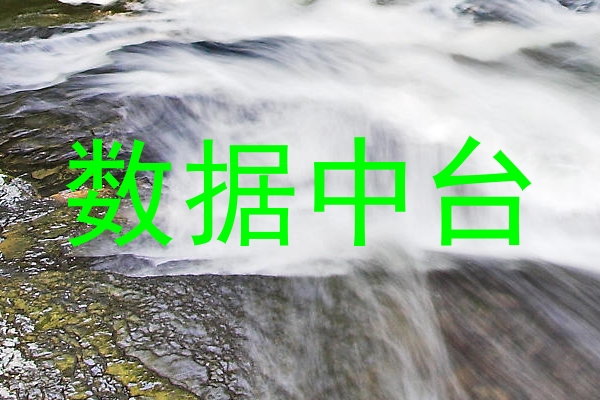 数据中台