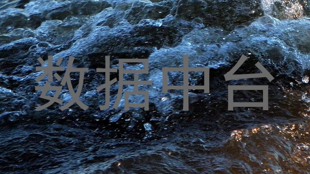 数据中台