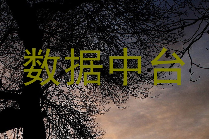 数据中台