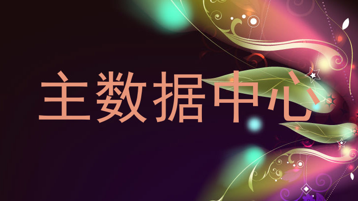 主数据中心