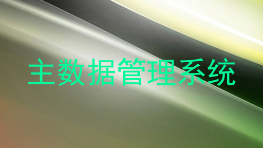 主数据管理系统