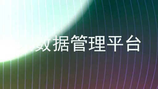 大数据管理平台