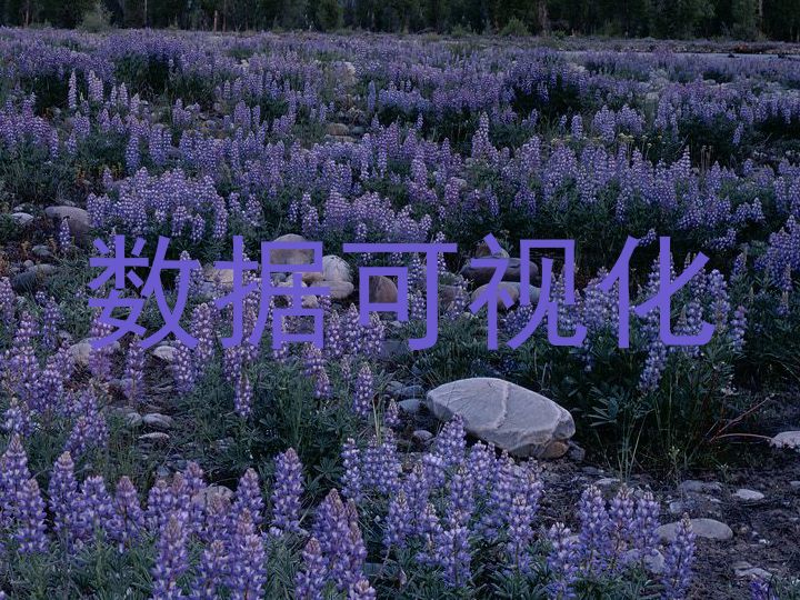 数据可视化
