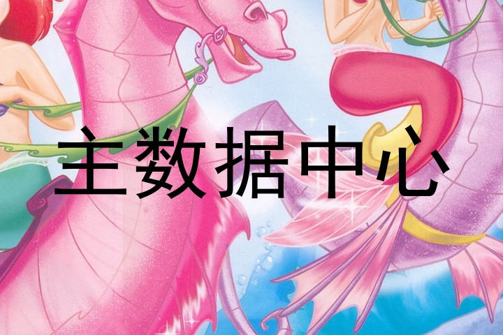 主数据中心