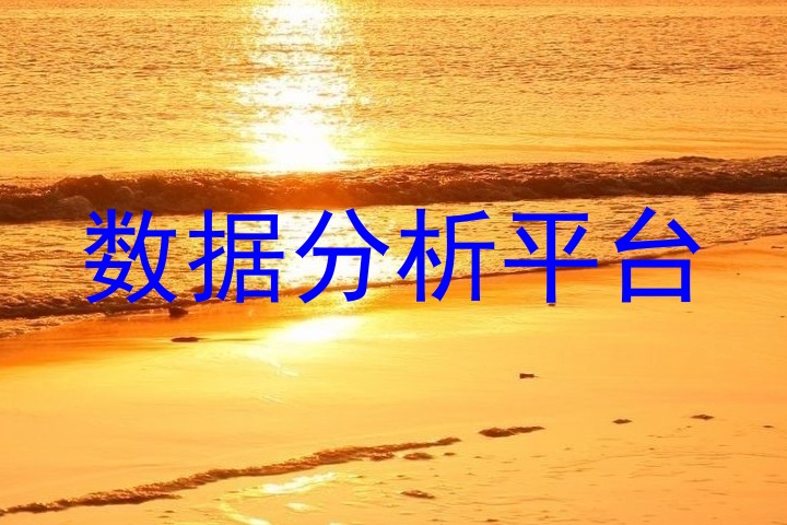 数据分析平台