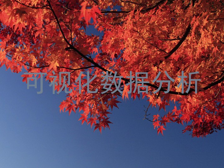 可视化数据分析