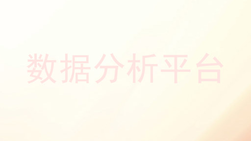 数据分析平台
