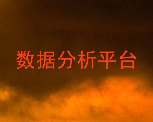数据分析平台