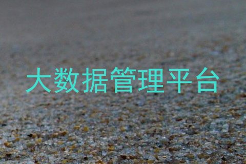 大数据管理平台