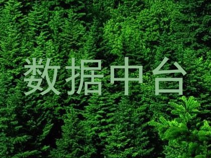 数据中台