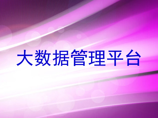 大数据管理平台