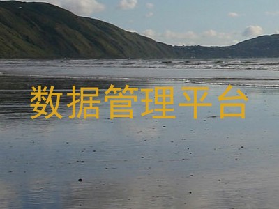 数据管理平台