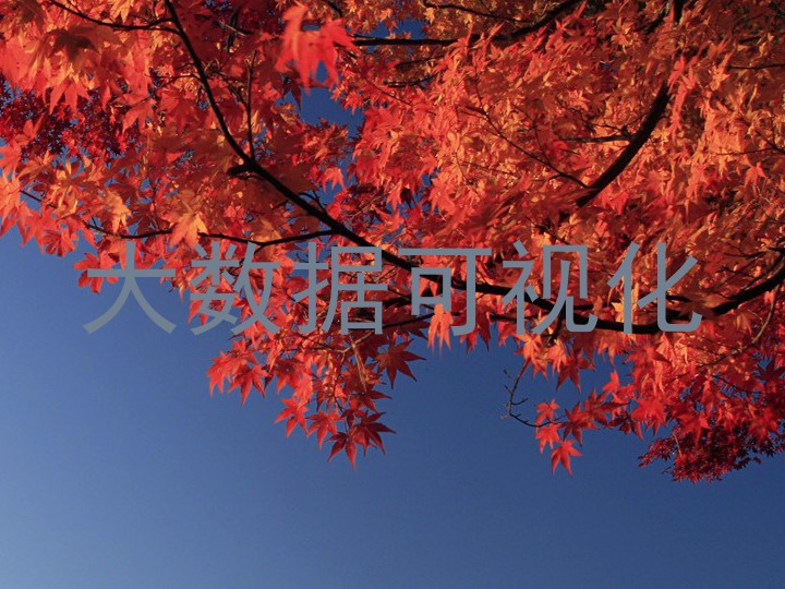 大数据可视化